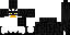 Texture for enderman