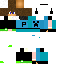 Texture for powerdox