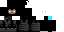 Texture for ninja