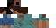 Texture for Endersteve