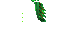 Texture for elytra
