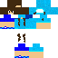 Texture for DottNinja