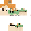 Texture for Alex