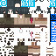 Texture for ds