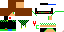 Texture for srgstr