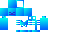 Texture for ice skeleton