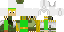 Texture for Link