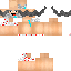 Texture for FelixGR