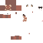 Texture for decoy 1