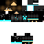Texture for cs4