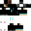 Texture for ninja predator