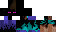 Texture for endersteve