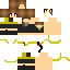 Texture for Avalon Ashi