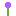 Texture for Simple Allium