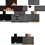 Texture for ds