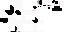 Texture for white_splotched