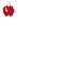 Texture for apple