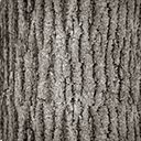 Texture for PAck texture test