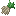 Texture for Wild carrots