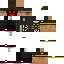 Texture for Sr.Igins