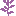 Texture for lilac_bottom