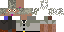 Texture for Einstein