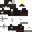 Texture for Sweglit9K