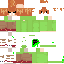Texture for Pico