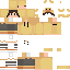 Texture for steve751