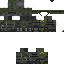 Texture for fantom_2010