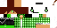 Texture for STe