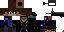 Texture for DenGart