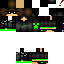 Texture for nh