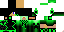 Texture for colt c