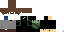 Texture for max