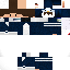 Texture for Marvin Pinguin