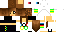 Texture for sprt