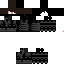 Texture for the ninja
