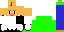 Texture for baldi