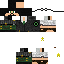Texture for Sir