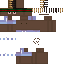 Texture for bdsi06