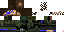 Texture for FELIPE