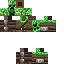 Texture for creepy steve