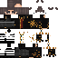 Texture for RobSuper
