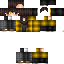 Texture for ArcChouette764