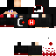 Texture for Hans1