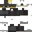 Texture for c308