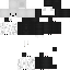Texture for  v