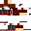 Texture for Apollo
