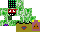 Texture for master creeper
